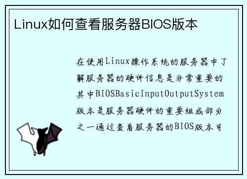 Linux如何查看服务器BIOS版本